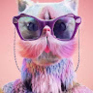 Meet your Posher, Diane